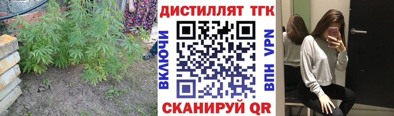 ТГК гашишное масло  где купить наркоту  Новый Уренгой 