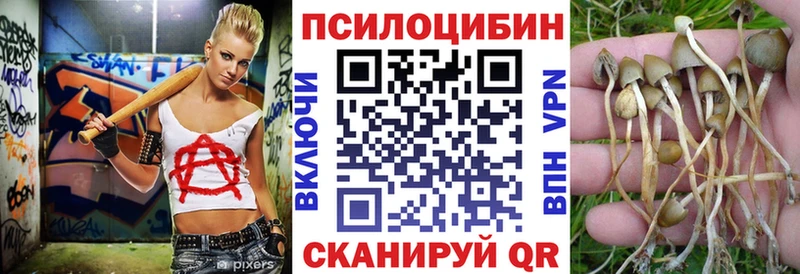 Галлюциногенные грибы мухоморы  mega ссылки  Новый Уренгой 