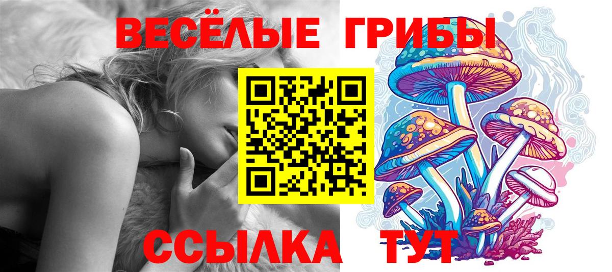 Галлюциногенные грибы GOLDEN TEACHER  где купить   Вход с VPN  Новый Уренгой  Галлюциногенные грибы мухоморы 